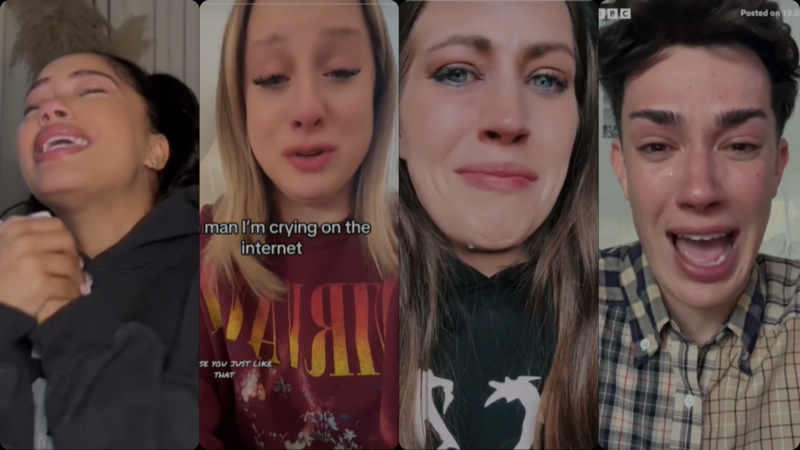 Fallout of TikTok’s U.S. Ban: Impacts on Influencers, Audiences, and More